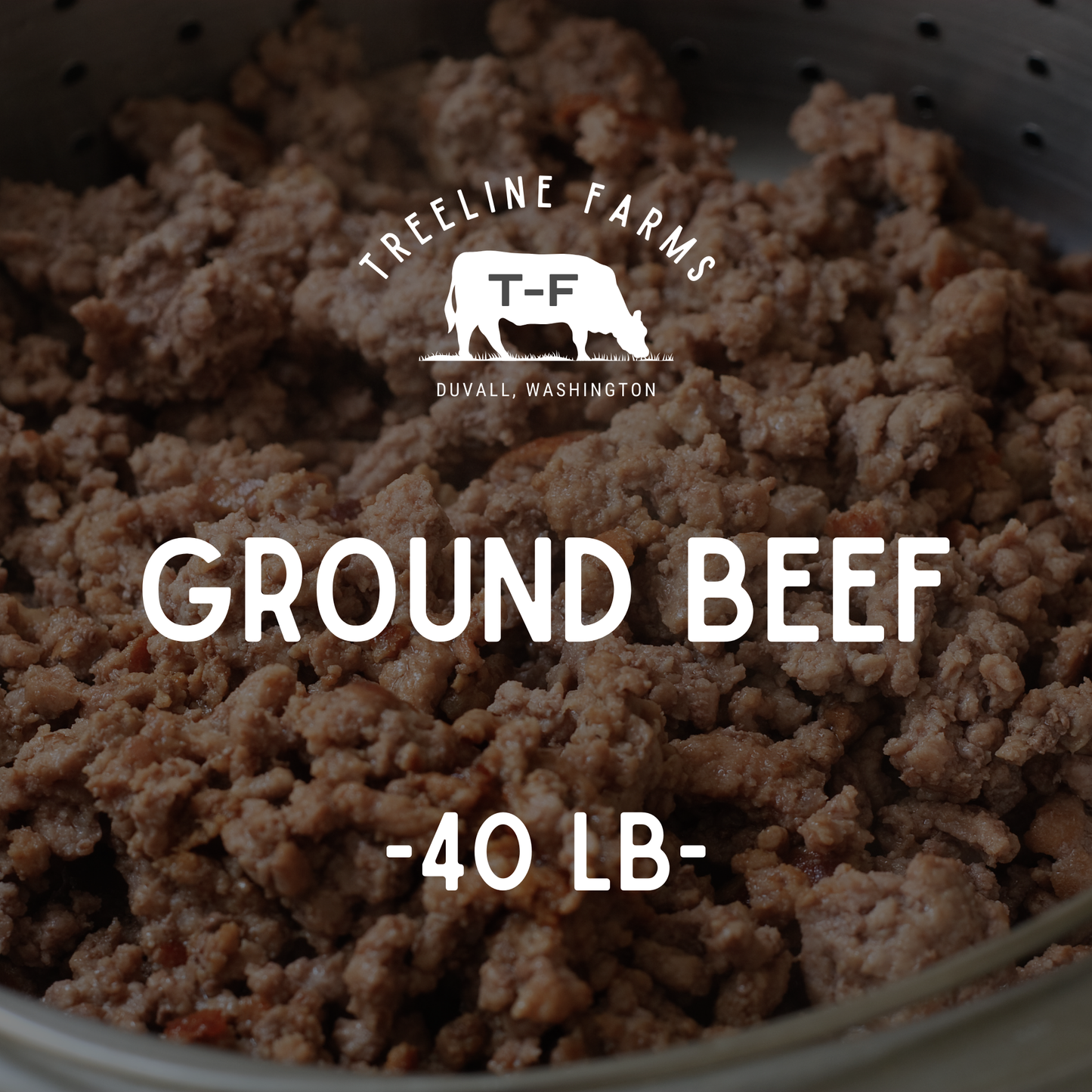T-F Ground Beef