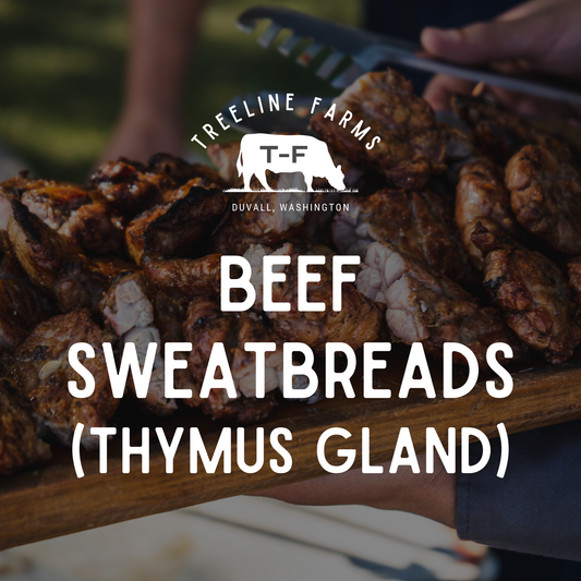Beef Sweetbreads (Thymus Gland)