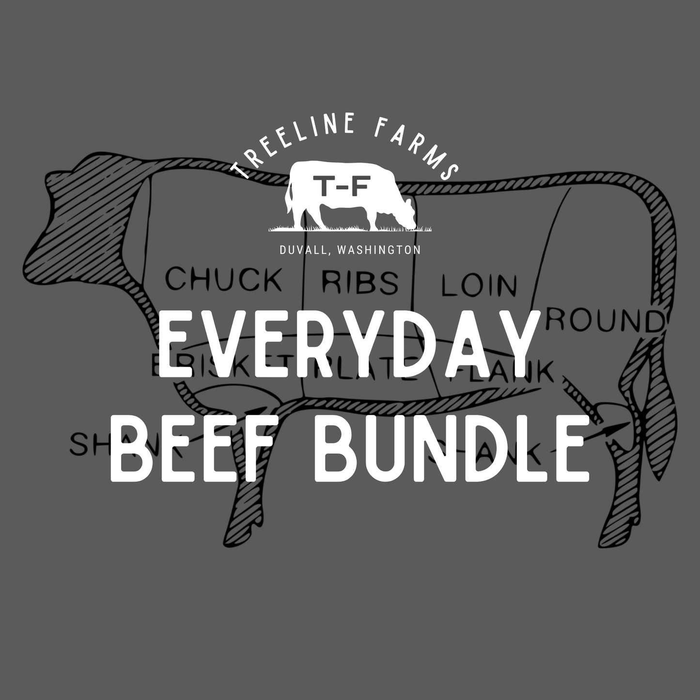 Everyday Beef Bundle | Grilling Favorites (Preorder)